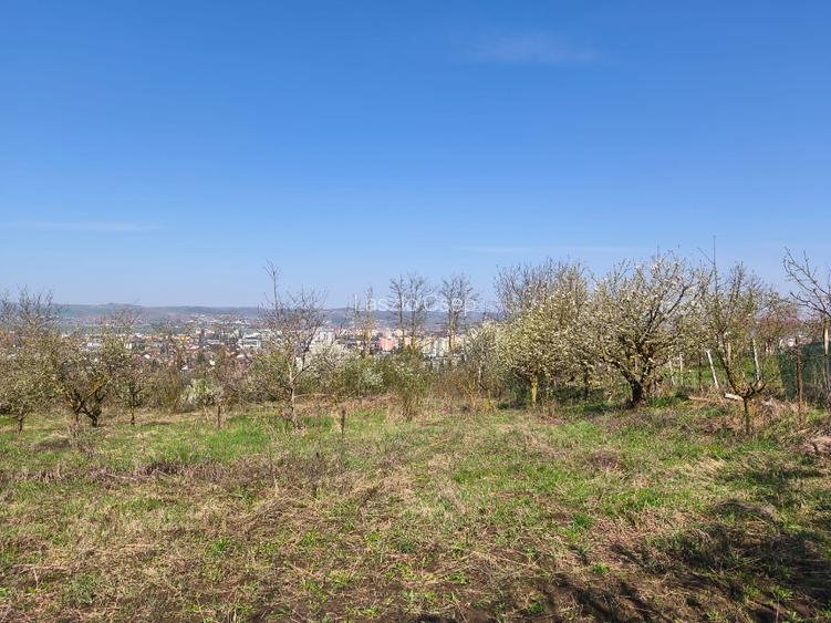 Vand Casa +teren livada 2600m2 - 7