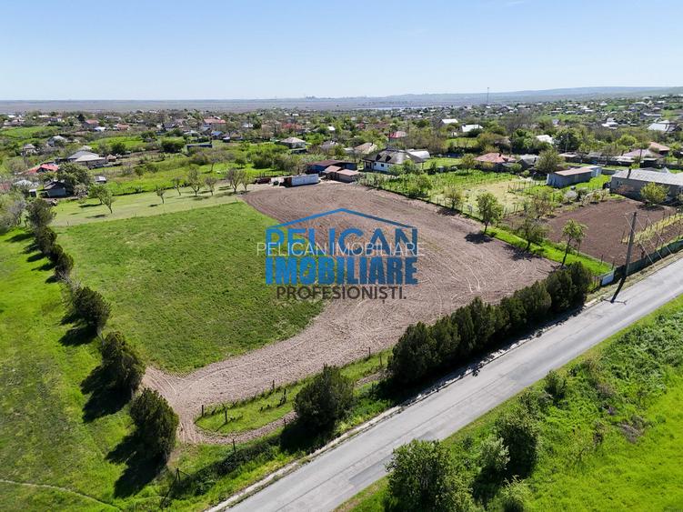 Teren intravilan SOMOVA, zonă deosebită, 5548MP - 3