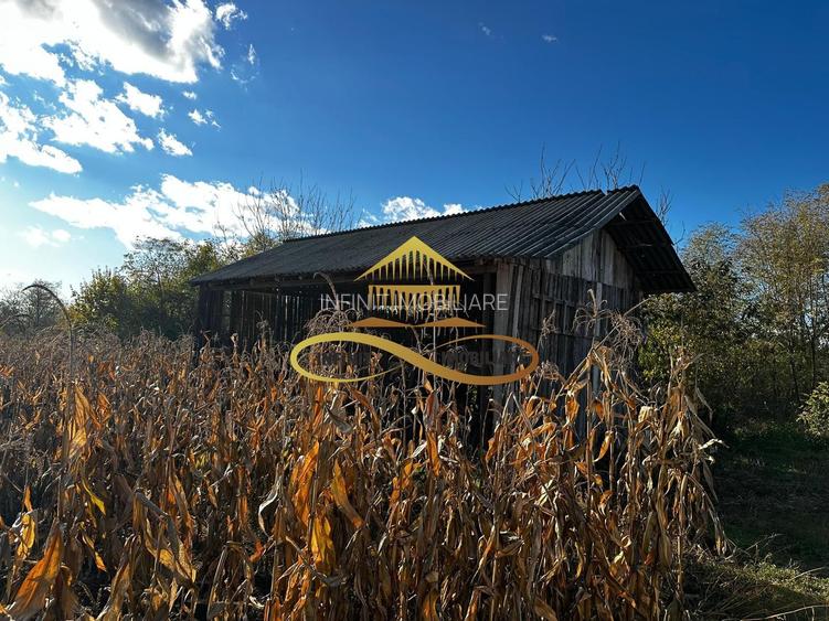 Casa batraneasca din caramida de vanzare si 4500 mp teren Negri Bacau - 19