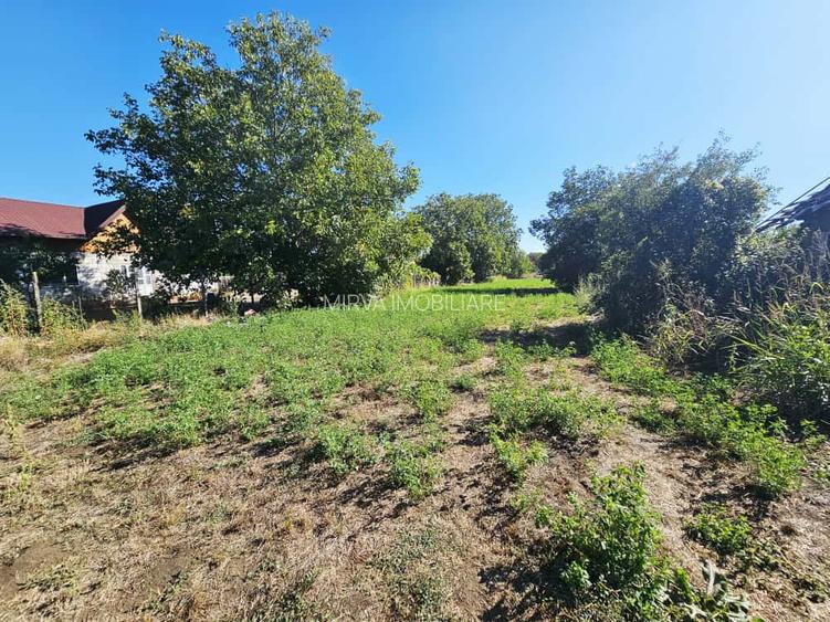 Teren intravilan 1.585 mp, cu utilități la hotar –Gherghița–Ungureni - 2