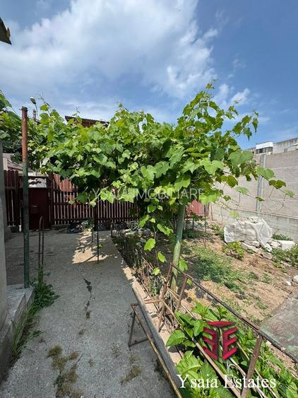 CASA DE VANZARE - INEL 1 - 3 CAMERE+ANEXE - - 15