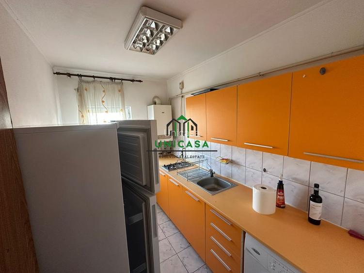 Mansarda - Ostroveni - 7