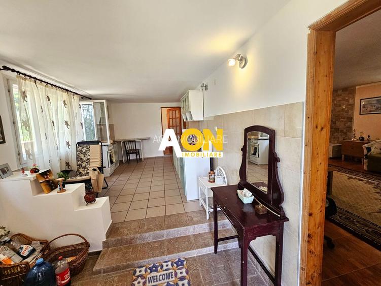 Casa tip cabana de vacanta, 5 camere, 2300 mp teren, zona Schit - 7