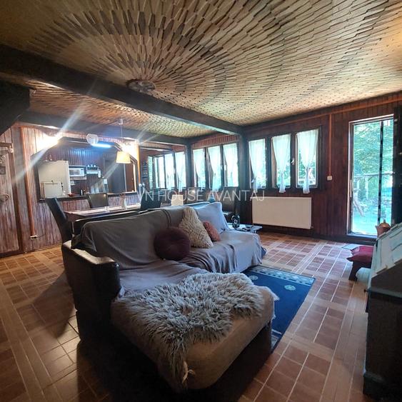 Casa de vacanta (Pensiune) in Lepsa - 3