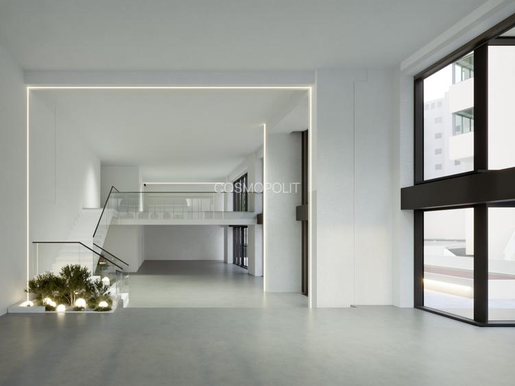 Spatiu comercial Cosmopolit Zenit Bloc B - 7