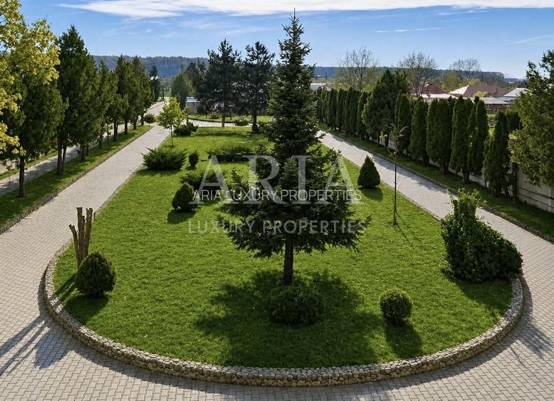 VANZARE VILA | HALA IN VLADICEASCA | SNAGOV | 10.500 MP TEREN - 5