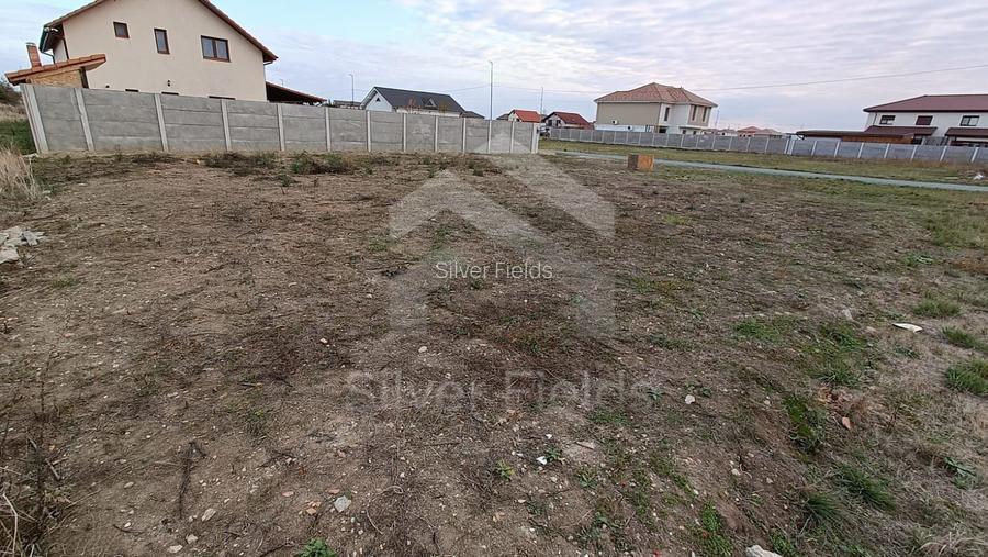 Teren Dumbrăvița cu front generos 24 ml - 5