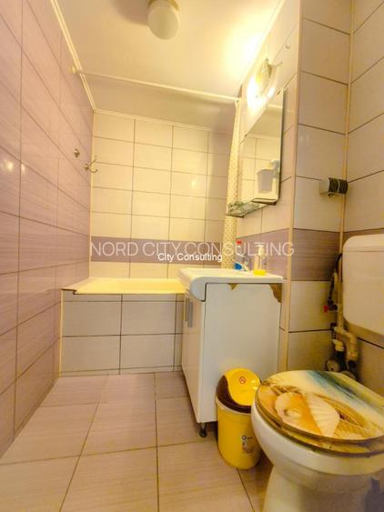 Inchiriere apartament 2 camere Lacul Tei - 9