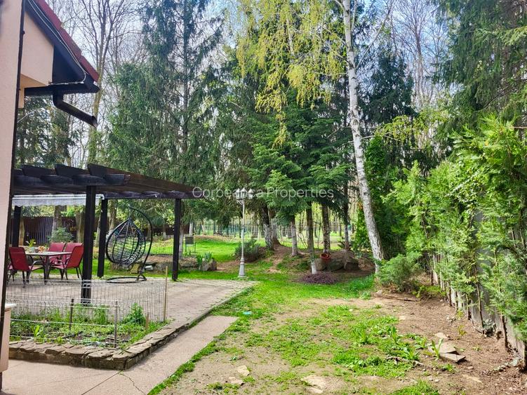 Resedinta cu Padure Privata, Paradisul Verde, teren 1800mp, gradina matura - 3