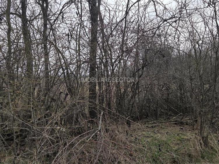 Teren intravilan cu gaze la strada Bujoreanca Dambovita S=9658mp D=49mp - 5