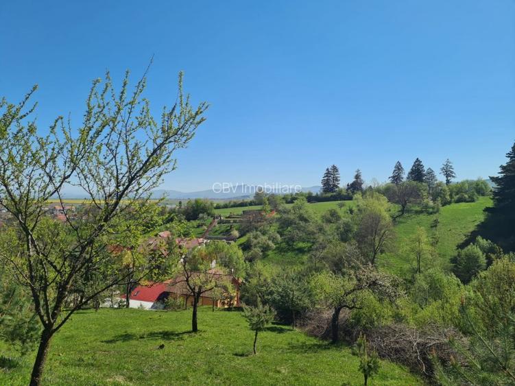 Teren Intravilan pentru Constructii Casa - 3