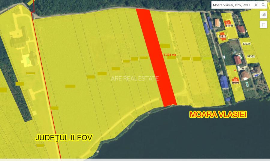 Teren de 6.303mp cu acces direct la lac, între pădure și apă – Moara Vlăsiei - 2