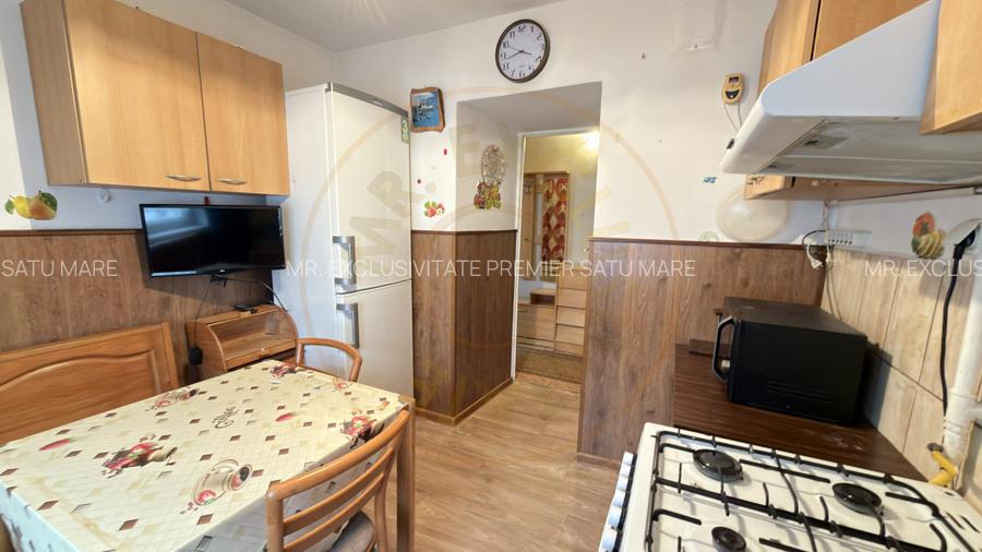 Apartament 2 camere Zona Penny Etaj II, Ignișului 28 - Carei - - 12