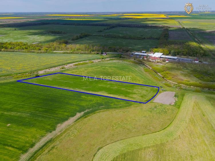 Teren Extravilan localitatea Turnu - 5