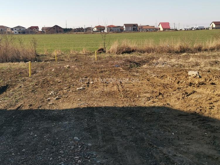 Teren in Dumbravita 110000 euro - 3