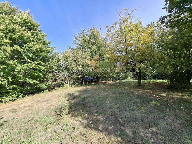 Comision 0. Teren cu autorizatie de construire in Salicea - 3