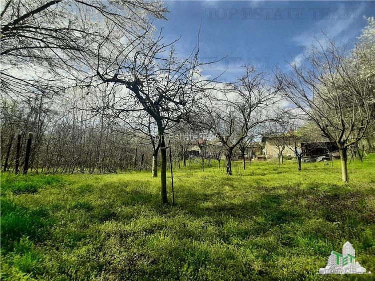 Casa la curte cu livada/teren 1274 mp in Bragadiru - 26