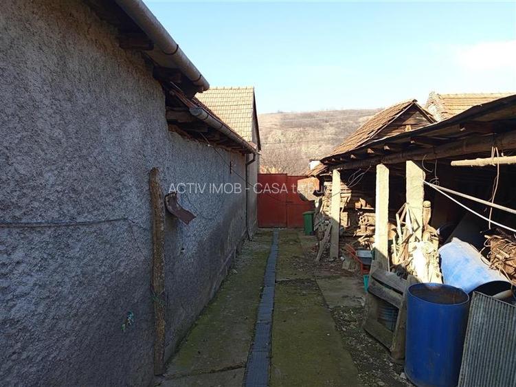 Ciclova, Casa 10 Incaperi, pt 2 Familii, 1439mp Teren - 23