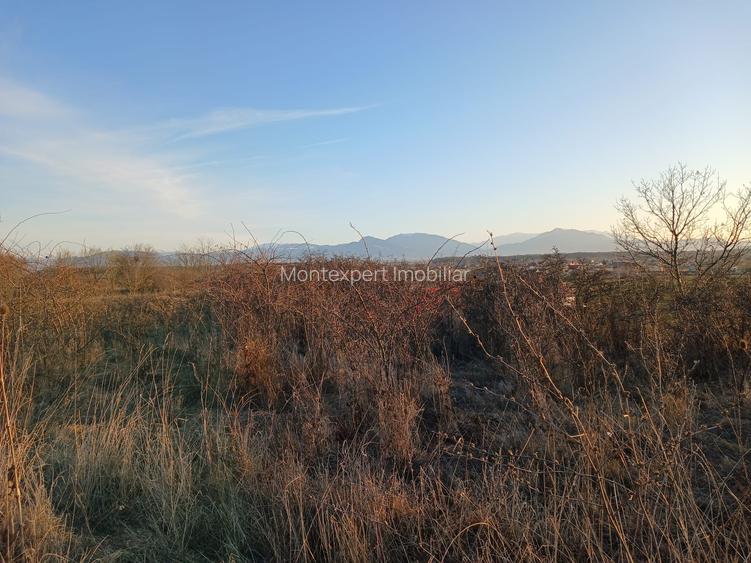 Teren 12.300 mp de vânzare Hărman – Podu Oltului, Brașov | 15 €/mp | Investiție - 2