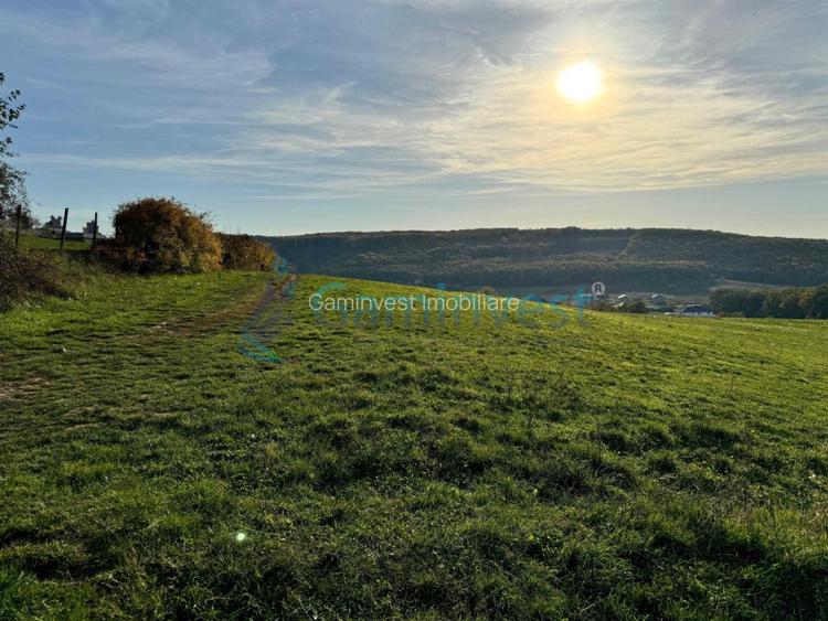 Teren de vanzare in Betfia, 5487 mp intravilan, Bihor - 7