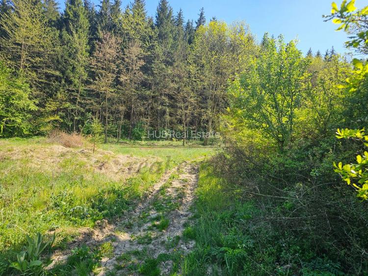 Teren intravilan | langa padure si parau | Luncani/Bacau - 2
