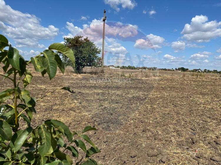 De vanzare, teren intravilan 1000 mp, Fundulea - 6