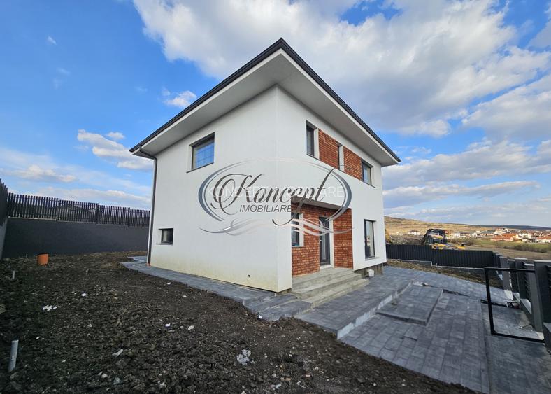 Proprietate spatioasa langa Profi in Chinteni - 2