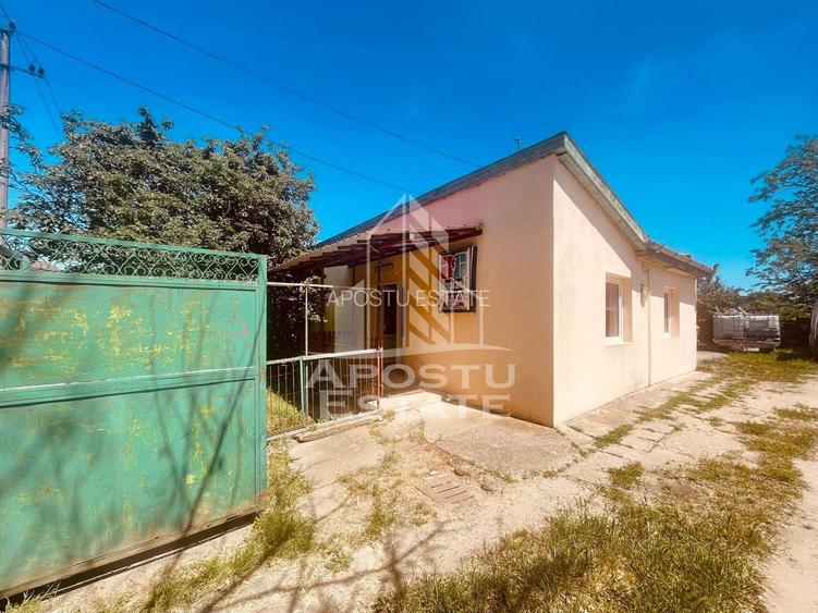 Casa de vanzare- zona Alfa, Penny - 18