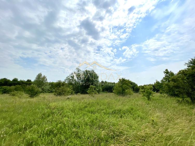 Teren intravilan***1439 mp***Cretesti-Vidra-Ilfov - 21