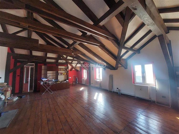 Imobil pentru pensiune sau alte activitati in Pischia - 8