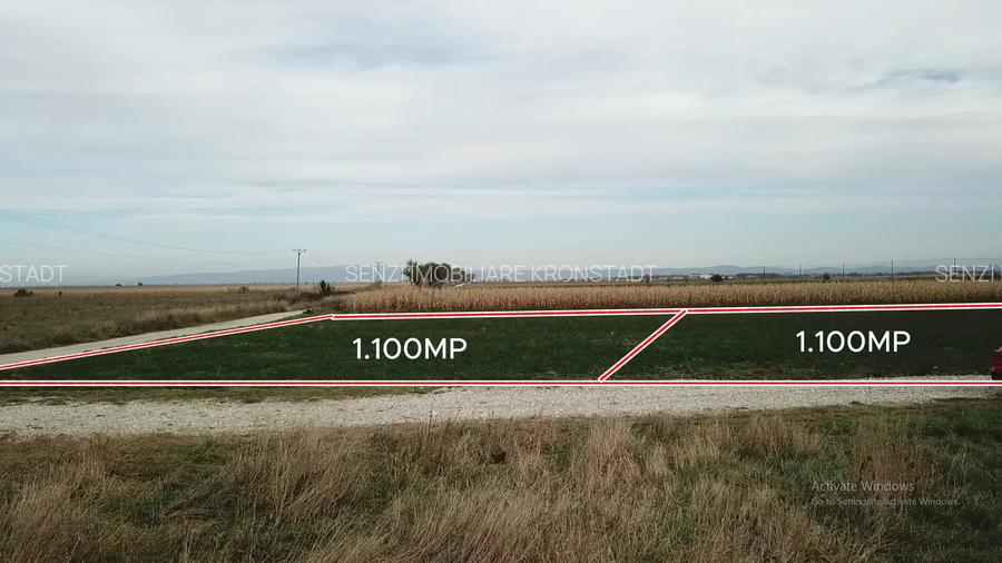 Parcele 1100 mp Pentru Microferme, Grădini Bio & Creșterea Animalelor - 8