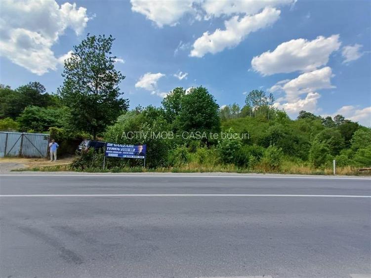 Resita, Terenuri Intravilane 2000 Mp., 28 Euro Mp., Calea Caransebesului, Mement - 16