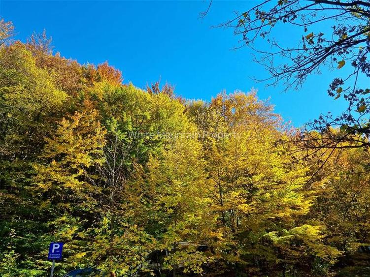 Garsoniera renovata in zona linistita Racadau - 16