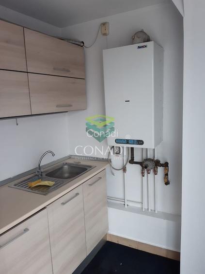 De inchiriat Hala C1 - zona DNCB Clinceni - 4