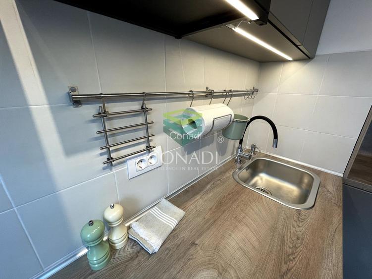 Garsoniera renovata modern str Nada Florilor - Teiul Domnei - 35