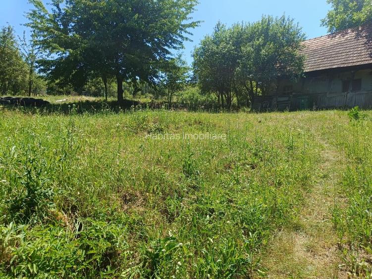 0 comision, Teren de 906 mp cu casa-Corusu, com Baciu - 3