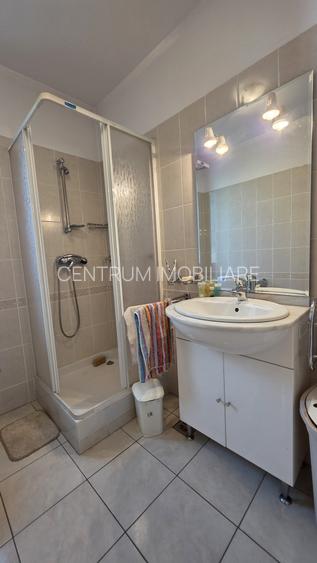 Inchiriere casa singur curte Voluntari - 13