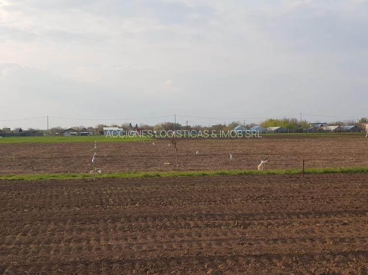 De vanzare loturi teren in Dascalu!! - 8