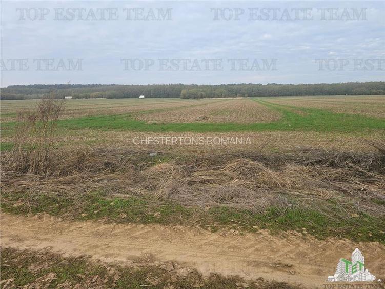 Teren 7500mp in liziera padurii in Dragomiresti-Deal - 3
