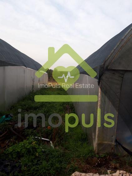🗺️ Teren intravilan in Jupani (Timis), 10,19 Euro/mp.✨ - 4