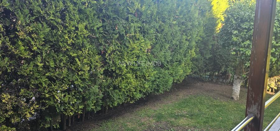 Vila cu teren de 1200 mp, ideal locuit/sediu de firma/clinica etc - 9