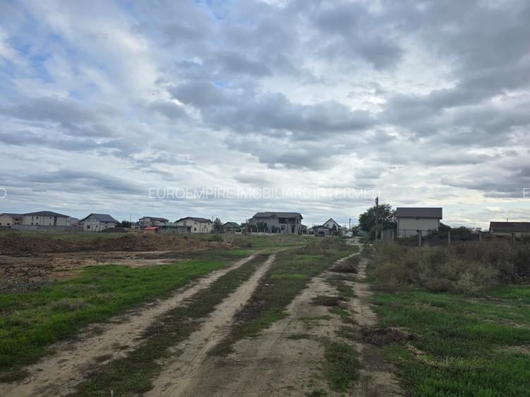 Teren de vanzare in Ovidiu - 3