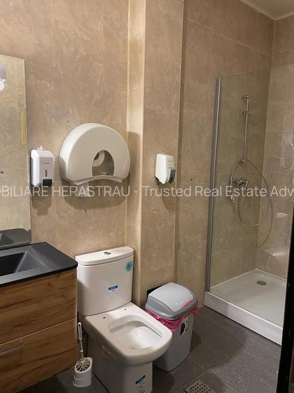 Piata Victoriei | Cladire de Birouri de vanzare - 12