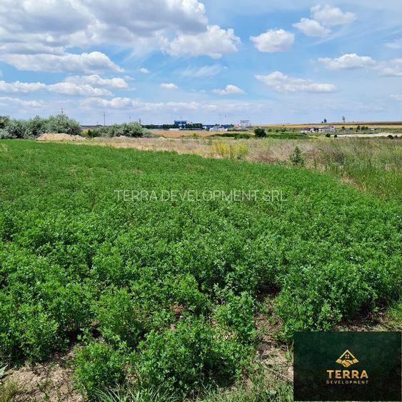 Loturi de teren , vis-a-vis de Insula Ovidiu - 2