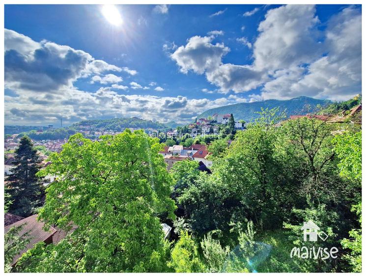 Apartament 2 camere de inchiriat, zona Centrul Vechi - 10