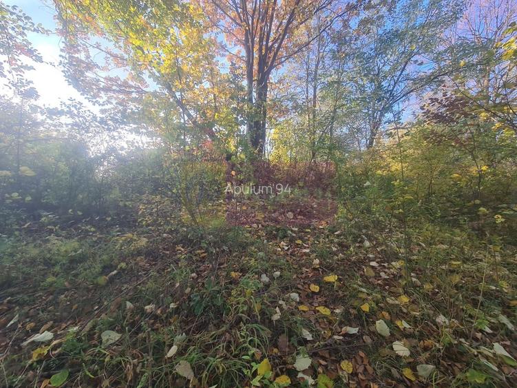 Teren intravilan de vanzare in Telega - 16