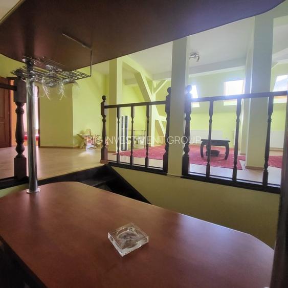 Vila boiereasca, superba, strada, linistita, nelipita de vreun alt imobil - 29