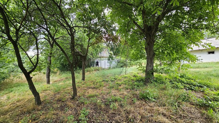 Casa  de vânzare cu teren 9200 mp, Pădureni-Șendriceni, Botoșani - 25