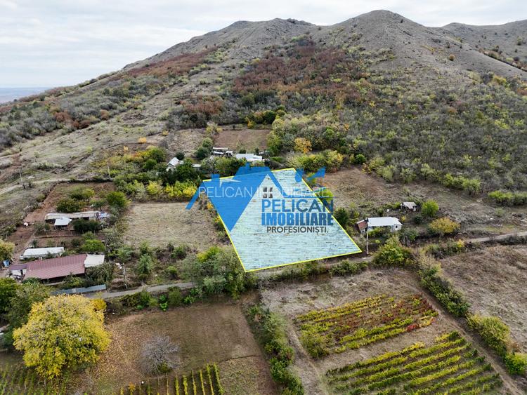 Teren intravilan NICULITEL, zona deosebita, 3044MP - 5