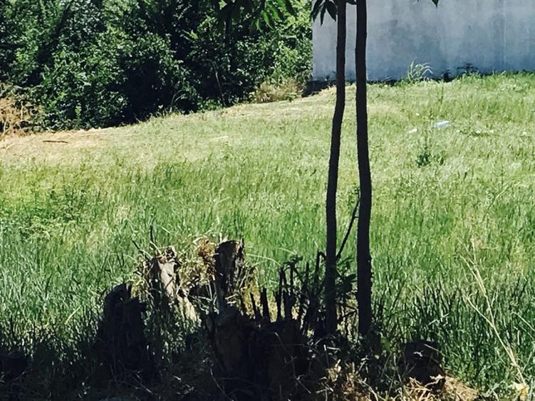 Vedere frontala la mare, deschidere 40m ,str Eminescu 28,Casa Casatoriilor - 8